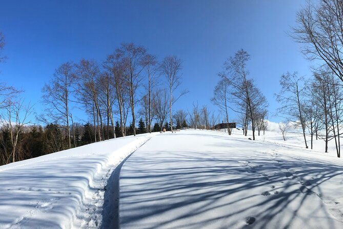 hokkaido-nature-and-gourmet-experience-near-lake-toya-2