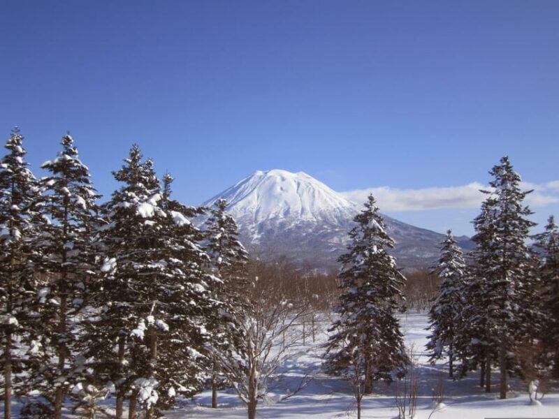 Hokkaido Niseko Ski Day Tour - Introduction to the Tour Experience