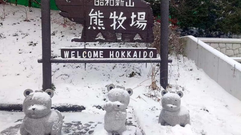 Hokkaido Seasonal: Lake Toya & Noboribetsu Jigokudani Valley - An In-Depth Look at the Tour