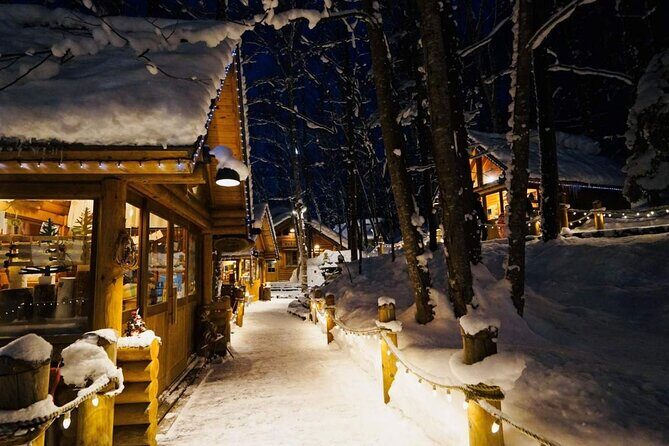 Hokkaido Tour, Asahiyama Zoo, Christmas Tree and Biei Green Pond - A Full Breakdown of the Hokkaido Tour Experience