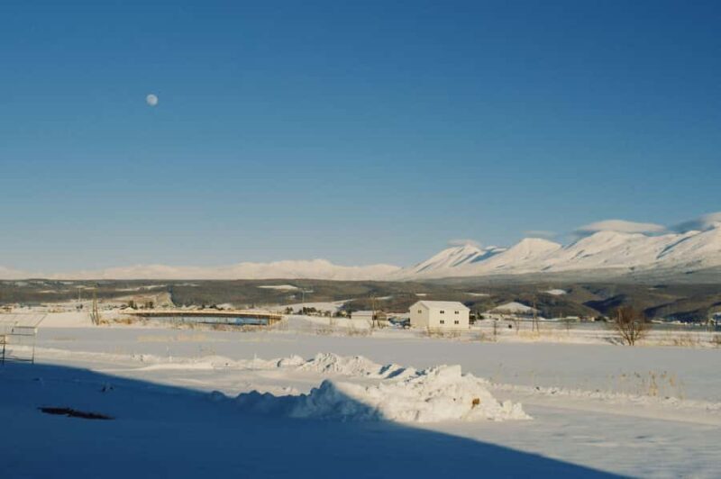 Hokkaido Tour: Snowy Landscapes & Polar Animals & Waterfalls - An In-Depth Look at the Hokkaido Day Tour
