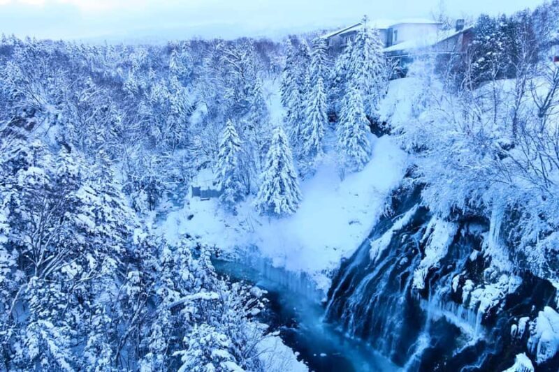 Hokkaido Tour: Snowy Landscapes & Polar Animals & Waterfalls - Practical Details and Insights