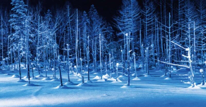 hokkaido-winter-asahiyama-zoo-enchanting-blue-pond-day-tour
