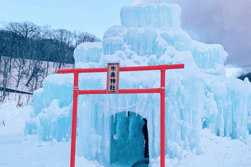 Hokkaido Winter : Sapporo to Noboribetsu, Lake Toya, Volcano - Who Will Love This Tour?