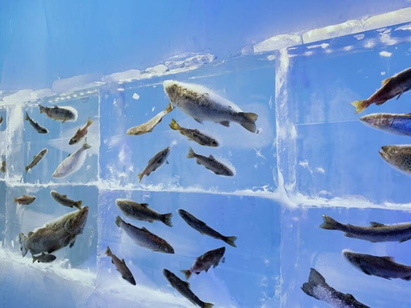 Hokkaido Winter : Sapporo to Noboribetsu, Lake Toya, Volcano - FAQ