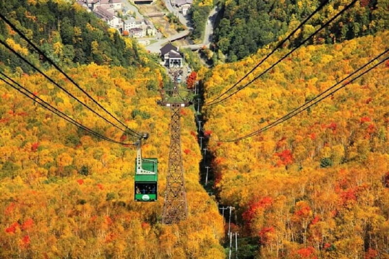 HokkaidoKurodake Ropeway, Asahiyama Zoo Autumn Leaves Tour - Asahiyama Zoo: Animal Encounters in Autumn