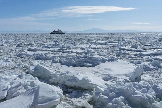 hokkaidos-winter-awe-inspiring-drift-ice-sounkyo-ice-sculpture