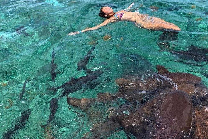 hol-chan-full-day-bucket-list-snorkeling-and-marine-life-tour