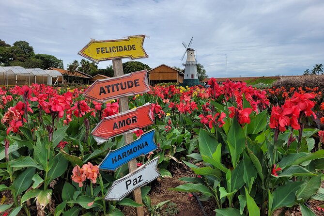 holambra-the-city-of-flowers