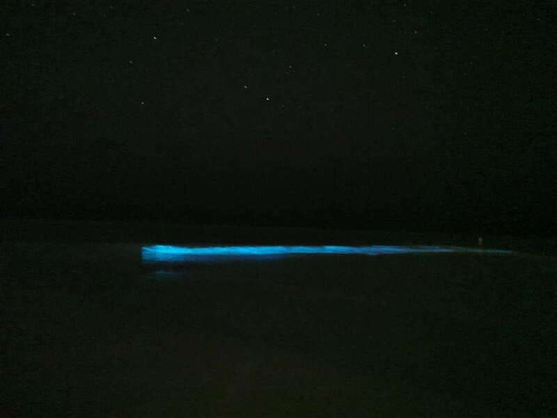holbox-bioluminescence-in-kayak-and-sidereal-observation