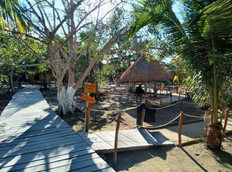 Holbox Discovery: Experience the Authentic Essence, Adventure, Taste and Relaxation - Practical Details: Timing, Group Size, and Flexibility