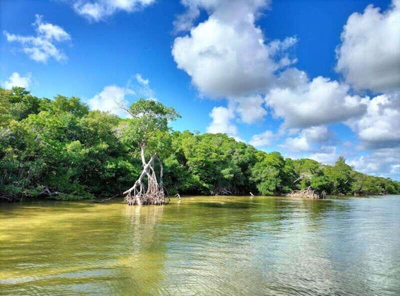 Holbox Discovery: Experience the Authentic Essence, Adventure, Taste and Relaxation - What to Bring and Wear
