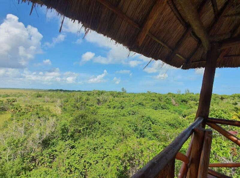 Holbox Discovery: Experience the Authentic Essence, Adventure, Taste and Relaxation - Final Thoughts: Is It Worth It?