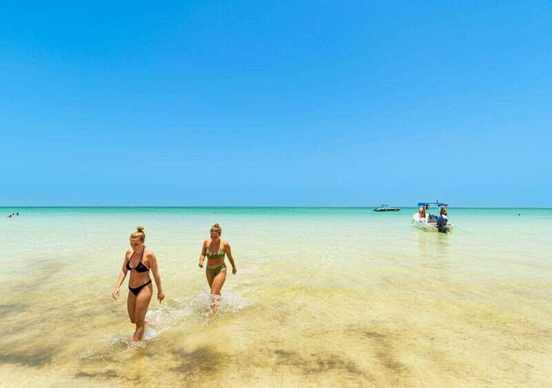Holbox: Full-Day Tour to 2 islands, cenote & lunch included - Key Points