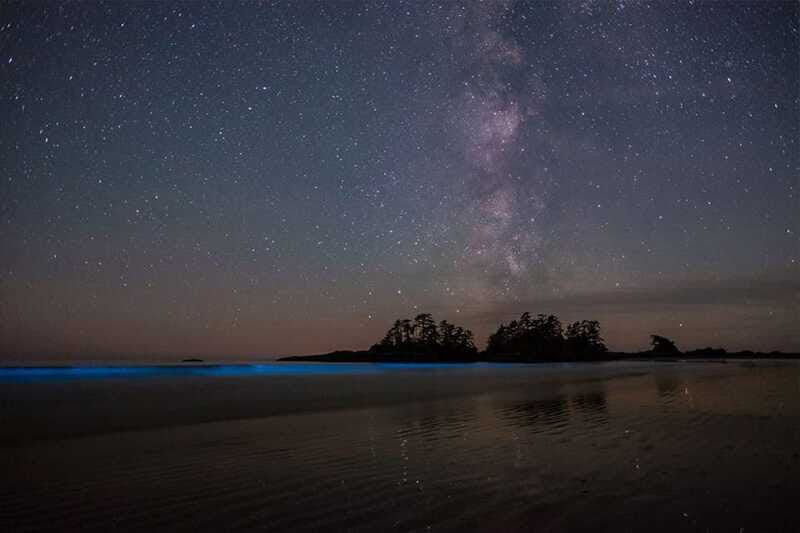 holbox-guided-bioluminescence-kayaking-tour