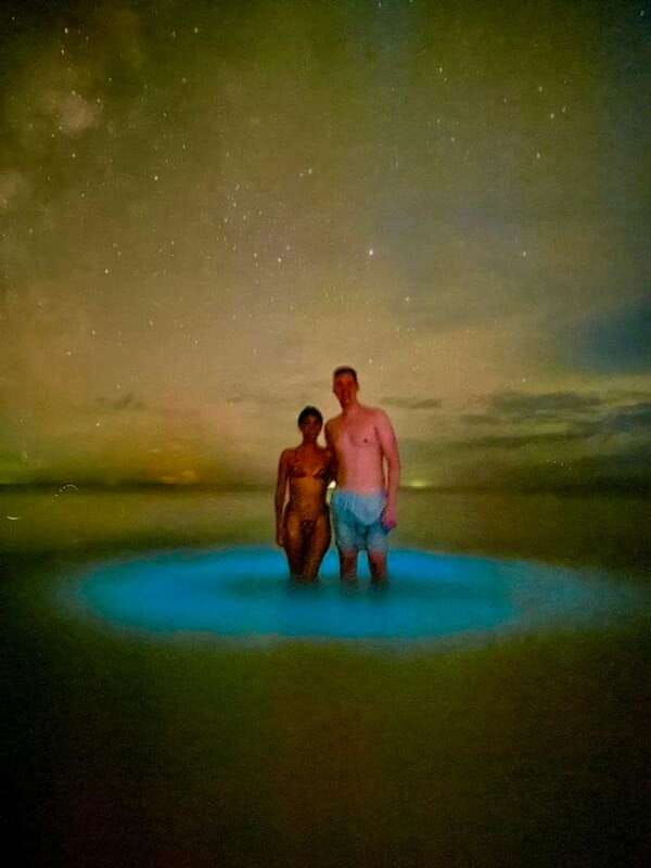 holbox-guided-bioluminescence-tour-with-pick-up
