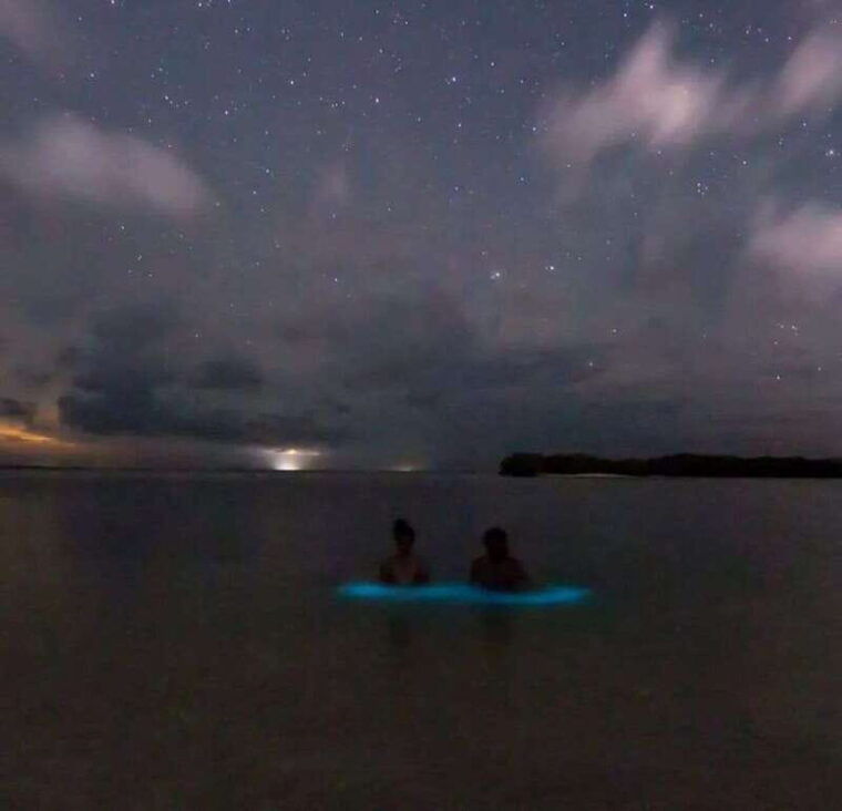 holbox-guided-bioluminescence-tour-with-pick-up