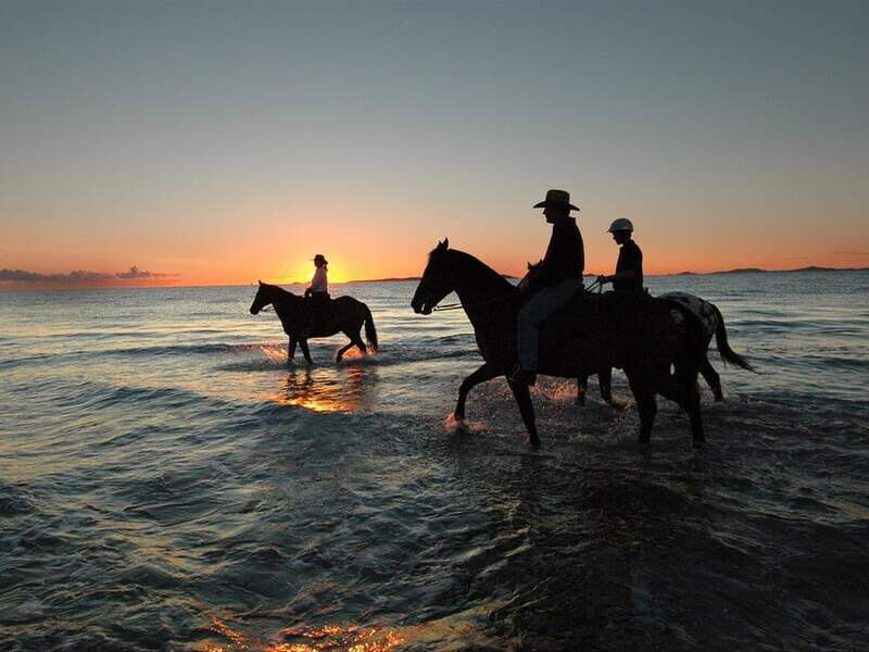 Holbox: Guided Horseback Ride on the Beach - Key Points