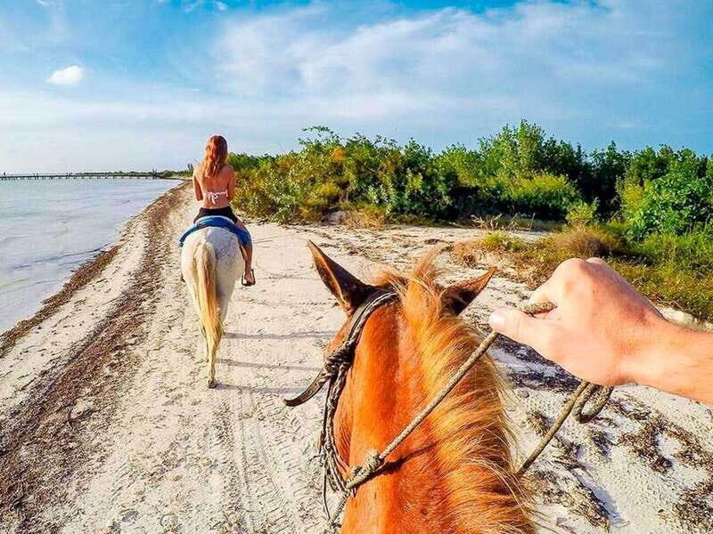 Holbox: Guided Horseback Ride on the Beach - Who Will Love This Tour?