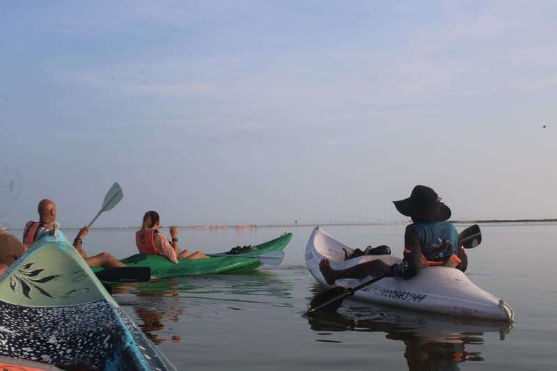 holbox-guided-sunrise-sunset-kayak-tour-by-mangrove-reserve