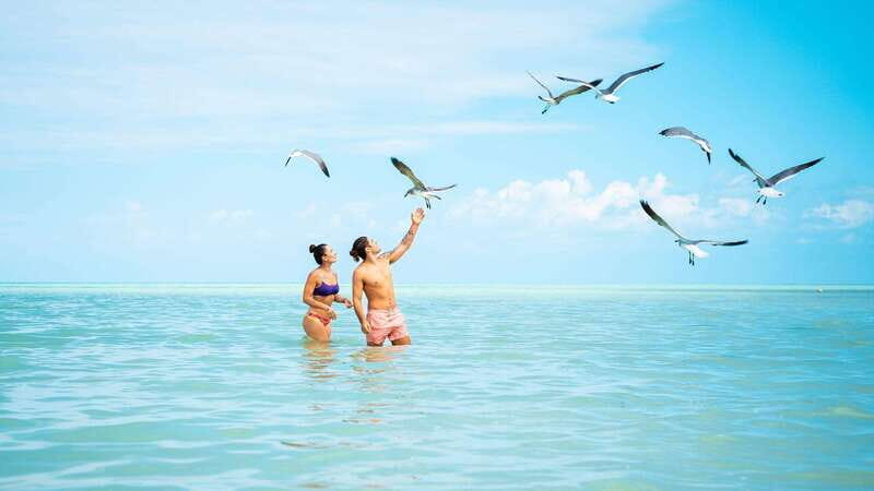Holbox Island Adventure from Riviera Maya - Exploring the Experience