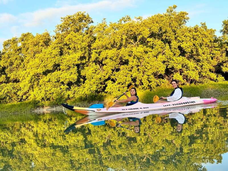 holbox-sunrise-mangrove-kayak-tour