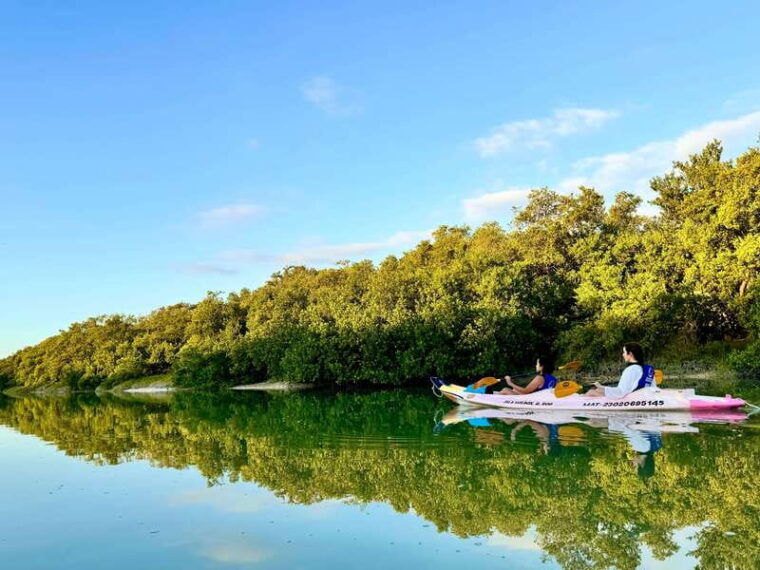 holbox-sunrise-mangrove-kayak-tour