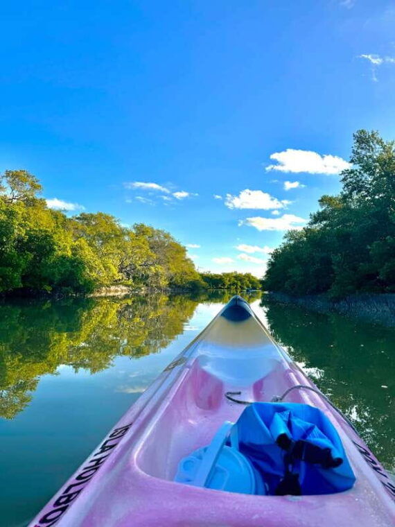 holbox-sunrise-mangrove-kayak-tour