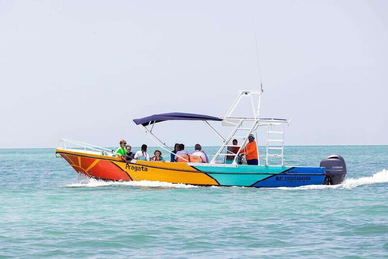 Holbox: Swimming with Wild Whale Sharks Boat Trip - The Experience: What to Expect