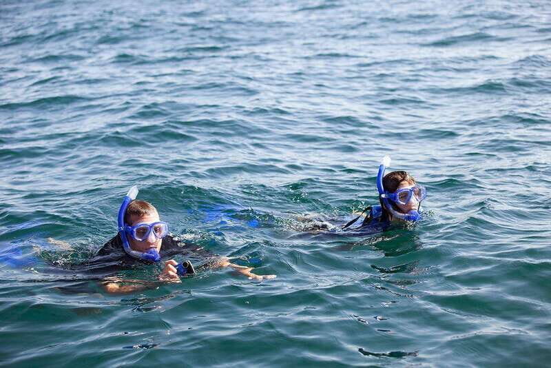 Holbox: Swimming with Wild Whale Sharks Boat Trip - Who Will Love This Experience?