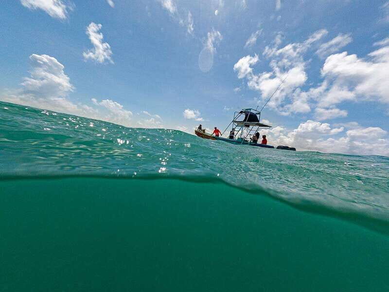 Holbox: Swimming with Wild Whale Sharks Boat Trip - FAQ