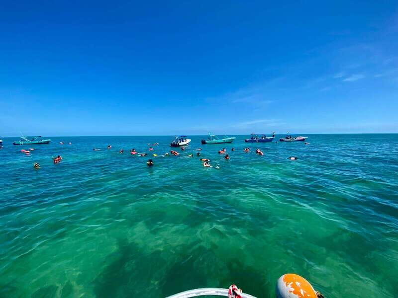 Holbox: Whale Shark and Catoche Island Tour with Snorkeling - Practical Details and Value