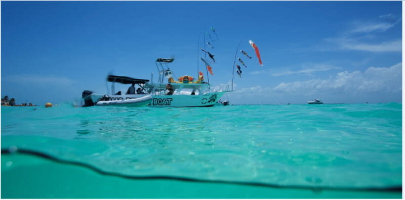 Holbox: Whale Shark Snorkeling Tour - The Value of This Experience