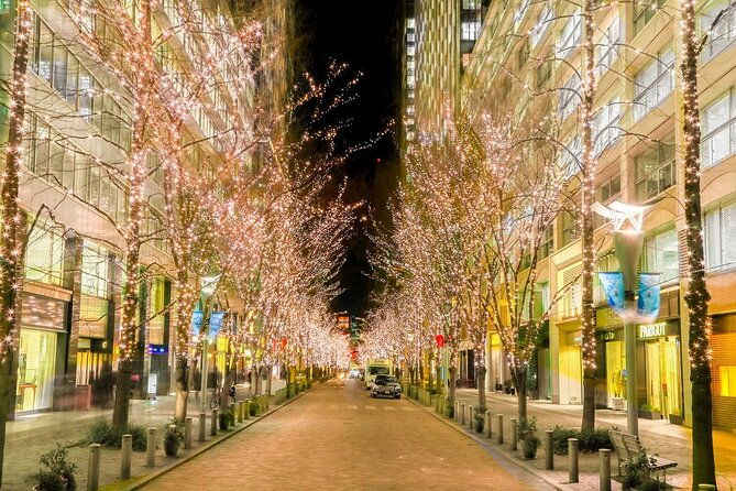 holiday-lights-walk-tour-hibiya-midtown-tokyo-station-marunouchi