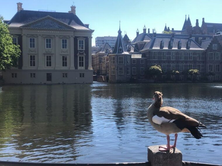 holland-four-city-charm-tour