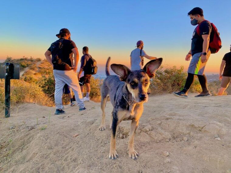 hollywood-walking-and-hiking-sunset-tour-with-scott-blue