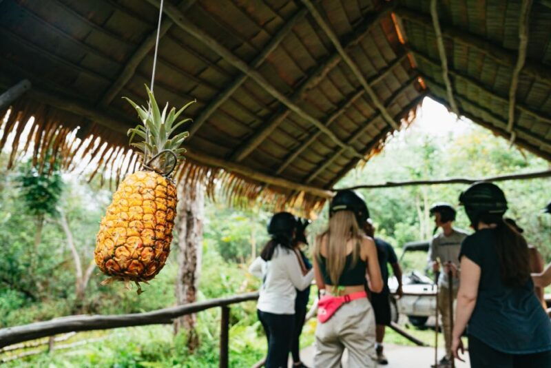 holualoa-polynesian-culture-atv-tour