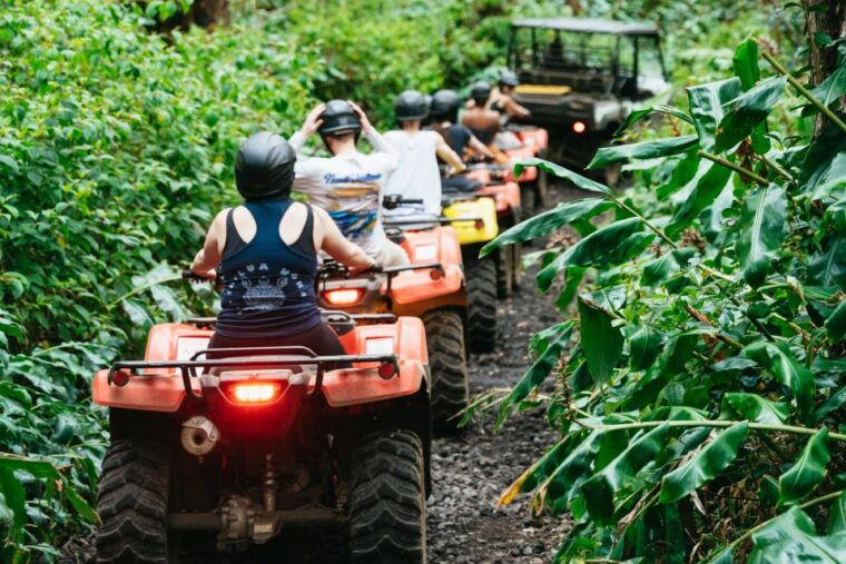 holualoa-polynesian-culture-atv-tour