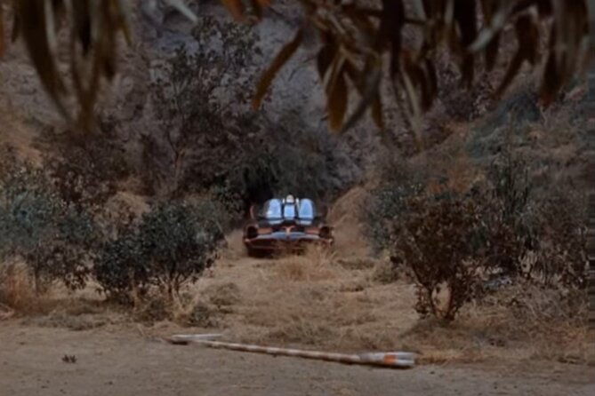 holy-biodiversity-batman-a-naturalists-batcaves-tour