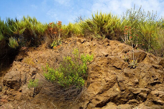 holy-biodiversity-batman-a-naturalists-batcaves-tour