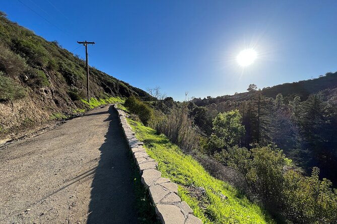 holy-biodiversity-batman-a-naturalists-batcaves-tour