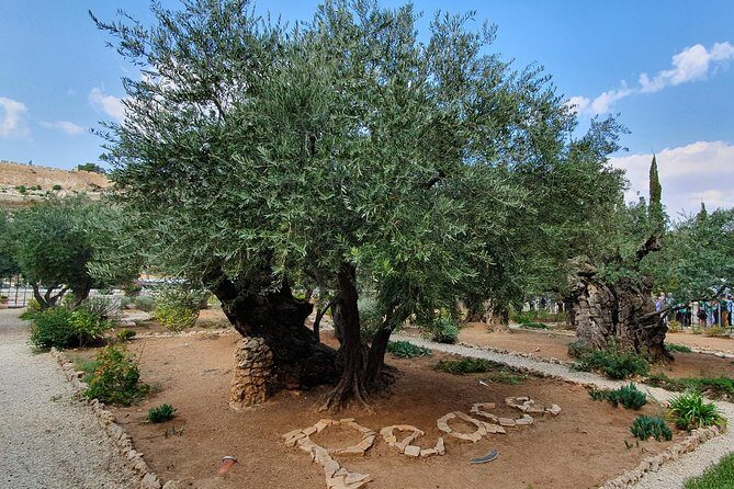 Holy Land Gateway: Haifa Port to Jerusalem & Bethlehem - Transition to Bethlehem: Birthplace of Faith