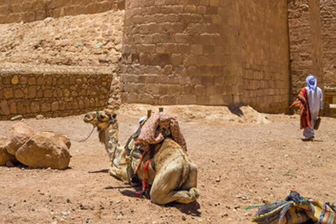 holy mount sinai climb & St Catherine monastery - The Sum Up