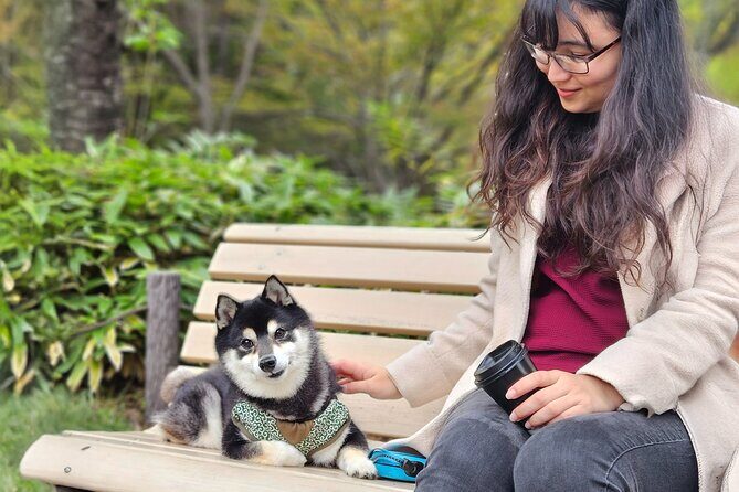 Home Cooking with a Local Host (Optional Shiba Inu Picnic) - The Itinerary in Detail