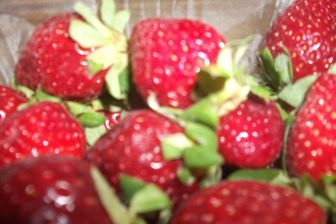 home-made-greek-yogurt-class