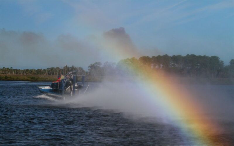 homosassa-gulf-of-mexico-airboat-ride-and-dolphin-watching