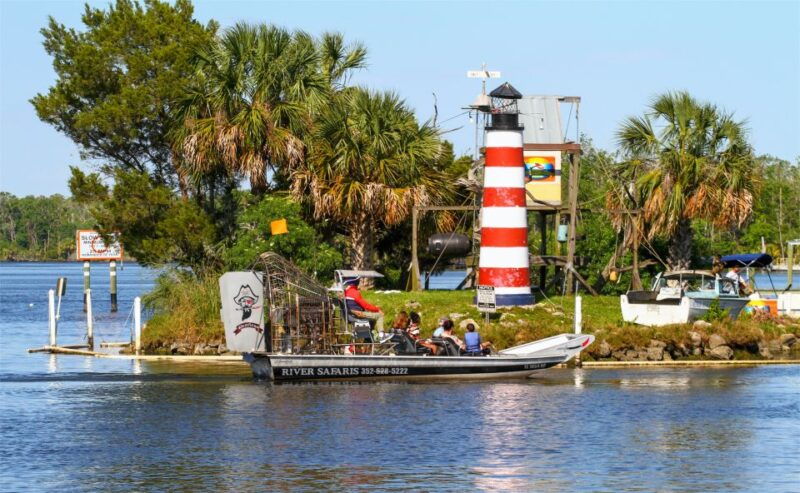 homosassa-gulf-of-mexico-airboat-ride-and-dolphin-watching