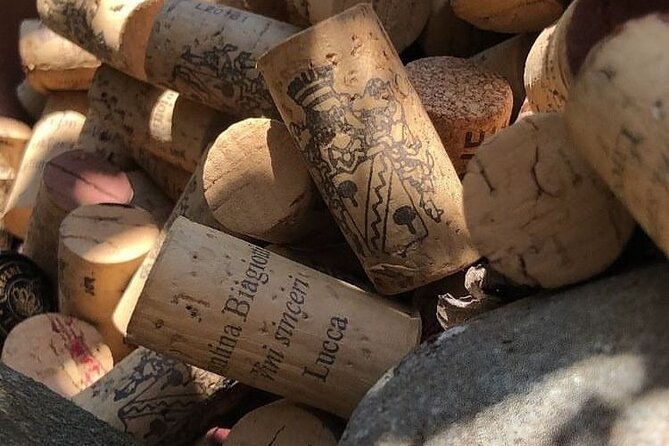 honest-wines-wine-tasting-at-cantina-biagiotti