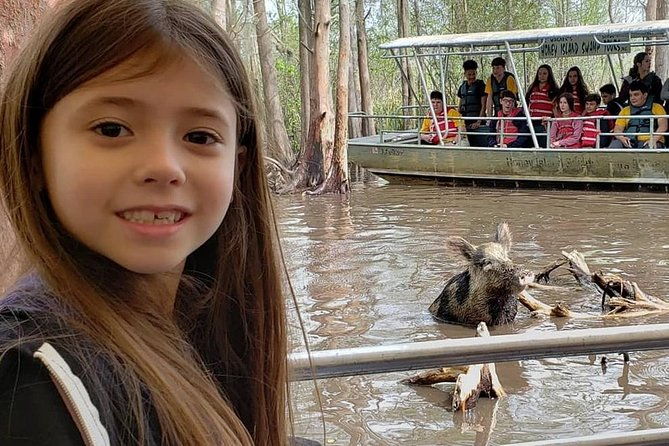 honey-island-swamp-private-tour-with-transport-from-new-orleans