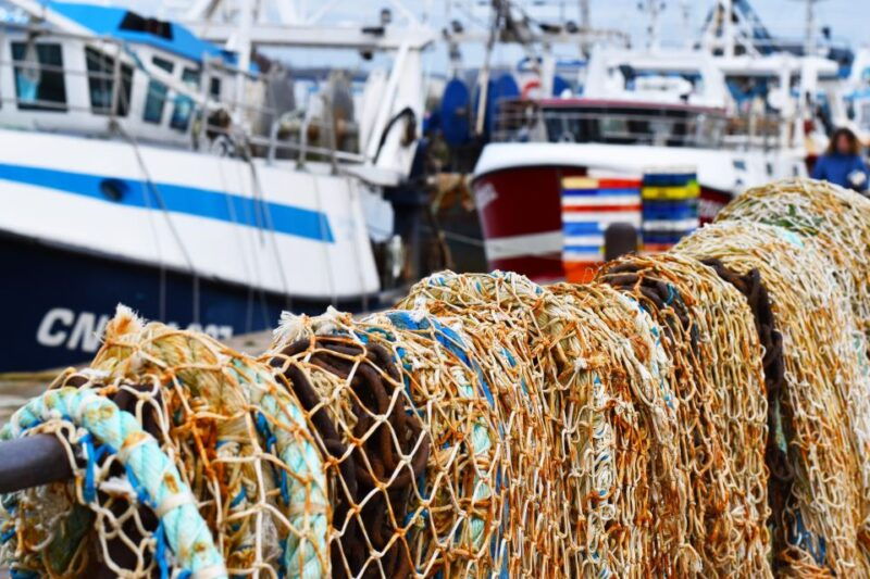 Honfleur Highlights Walking Tour - Final Thoughts